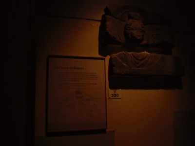 CIMG0801.JPG