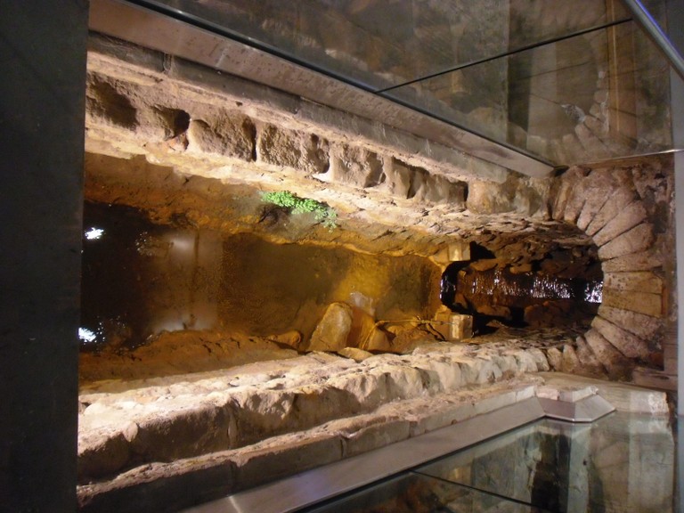 CIMG0812.JPG