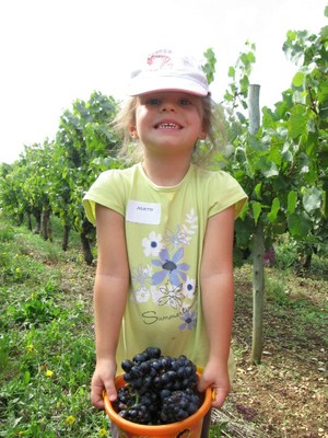 De la vigne au jus de raisin (22).JPG