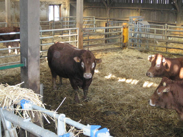 Sortie a la ferme (13).JPG