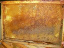 PC240046.JPG