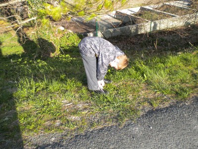 PXR_DSCN1812.JPG