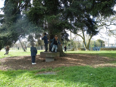 2009_02250052.JPG