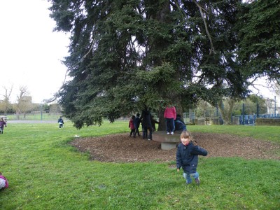 2009_02250056.JPG