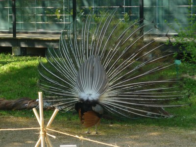 P1010005.JPG