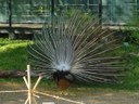 P1010005.JPG