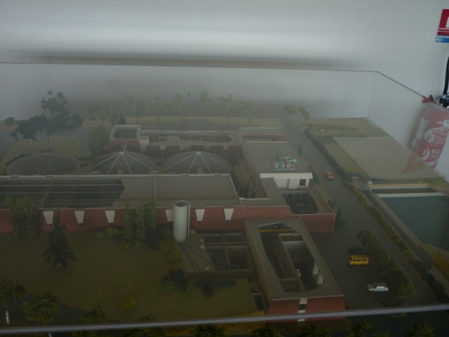 P1010011.JPG