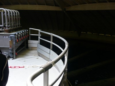 P1010013.JPG