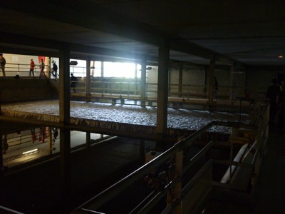 P1010020.JPG