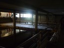 P1010020.JPG