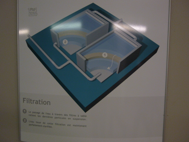 P1010021.JPG