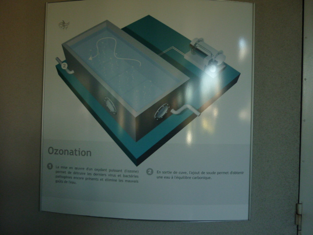 P1010023.JPG
