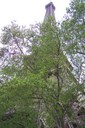 100_3190.JPG