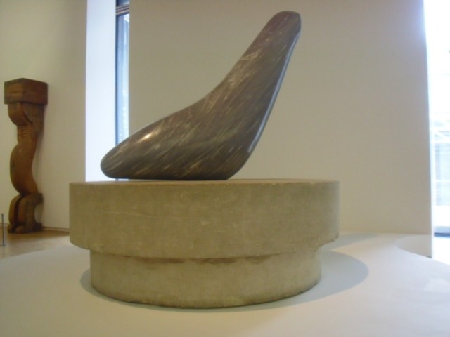 CIMG1288.JPG
