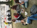 DSCN9678.JPG