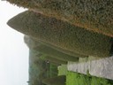 DSCN9734.JPG