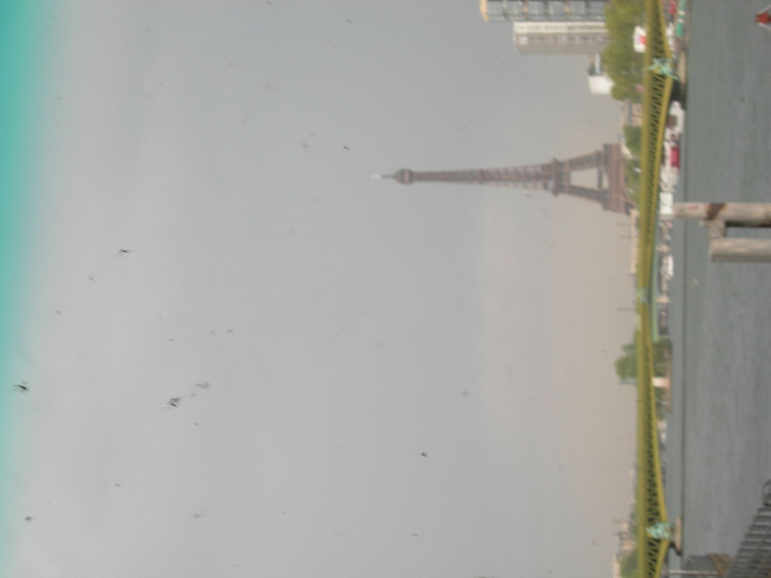 DSCN9738.JPG