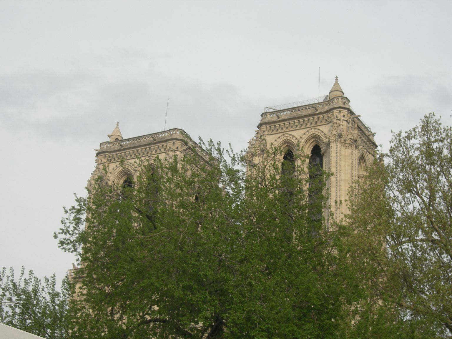 DSCN9765.JPG