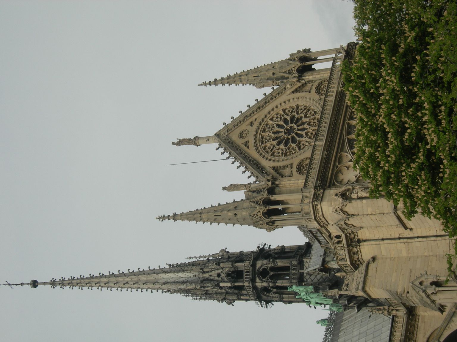 DSCN9766.JPG