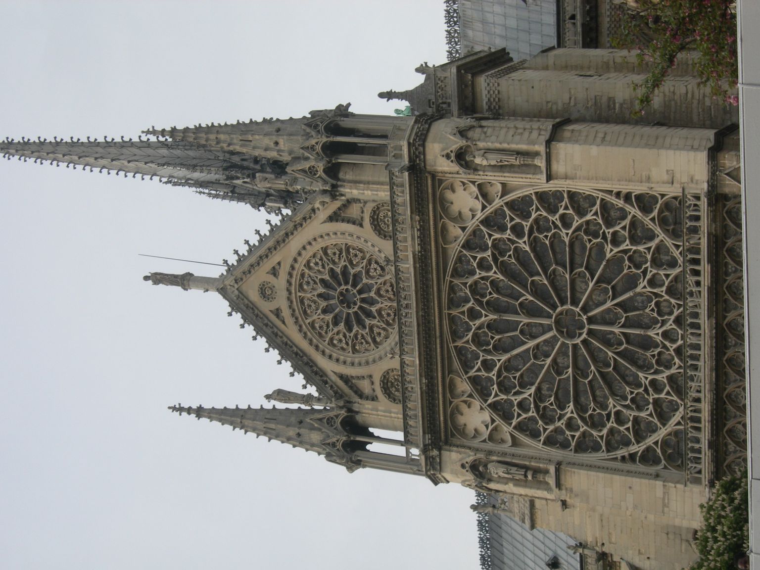 DSCN9768.JPG