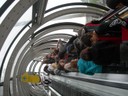 DSCN9826.JPG