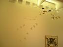 DSCN9843.JPG