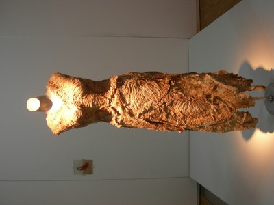 DSCN9866.JPG