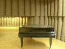 DSCN9868.JPG
