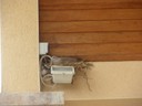 DSCN4776.JPG