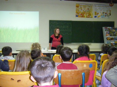 DSCF0638.jpg
