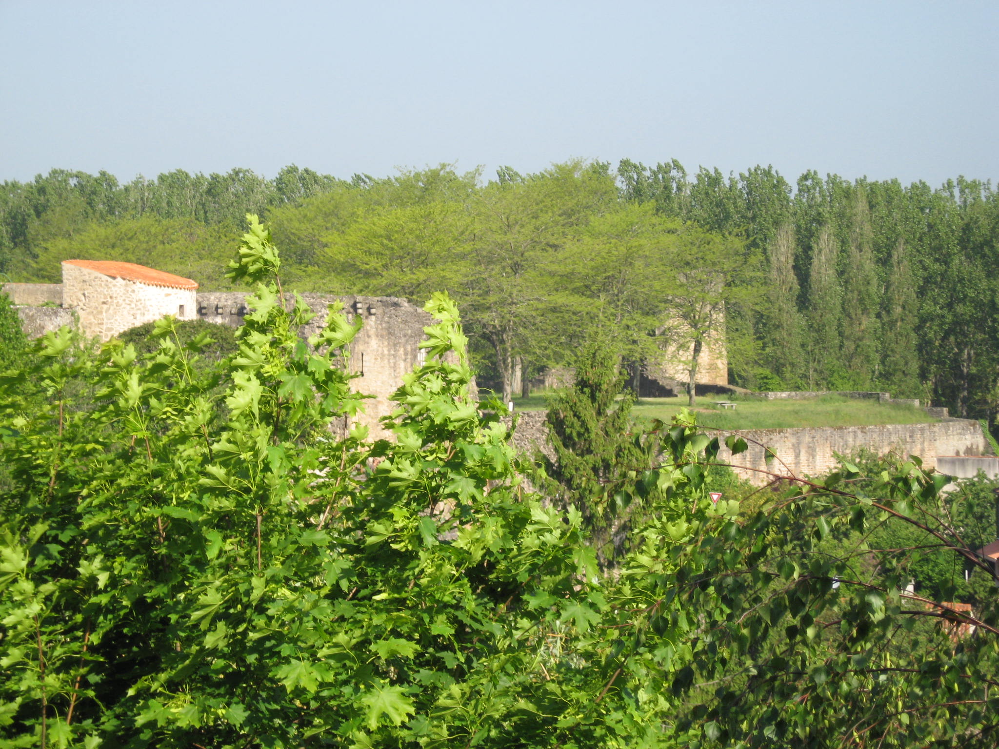 IMG_0075.JPG