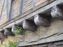 IMG_0091.JPG