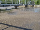 IMG_0161.JPG