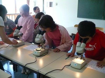 P1010842.JPG