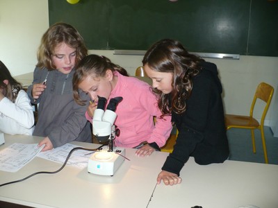 P1010850.JPG