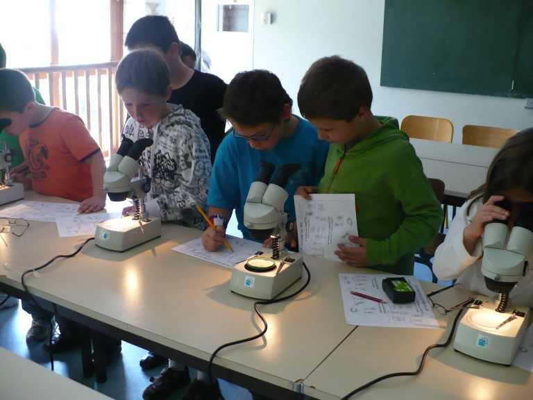 P1010852.JPG