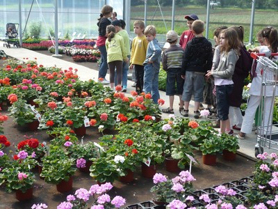 P1050445.JPG