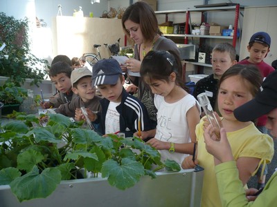 P1050456.JPG
