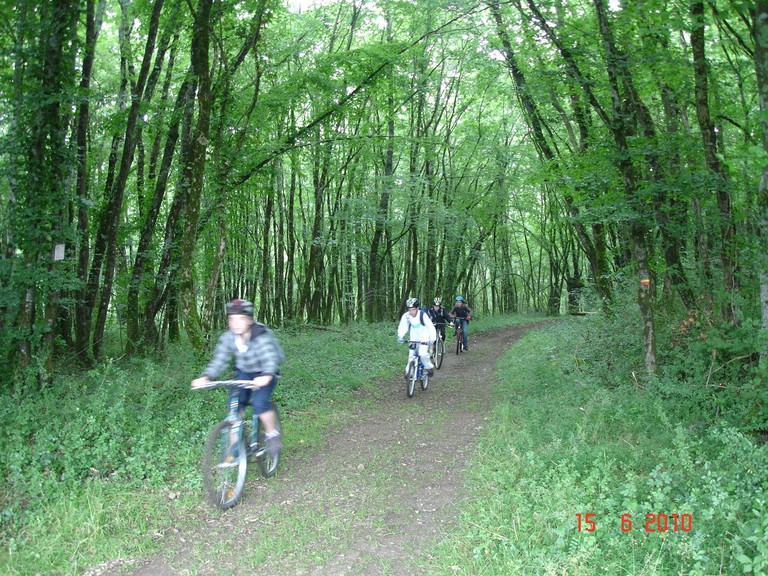 DSC08198.JPG