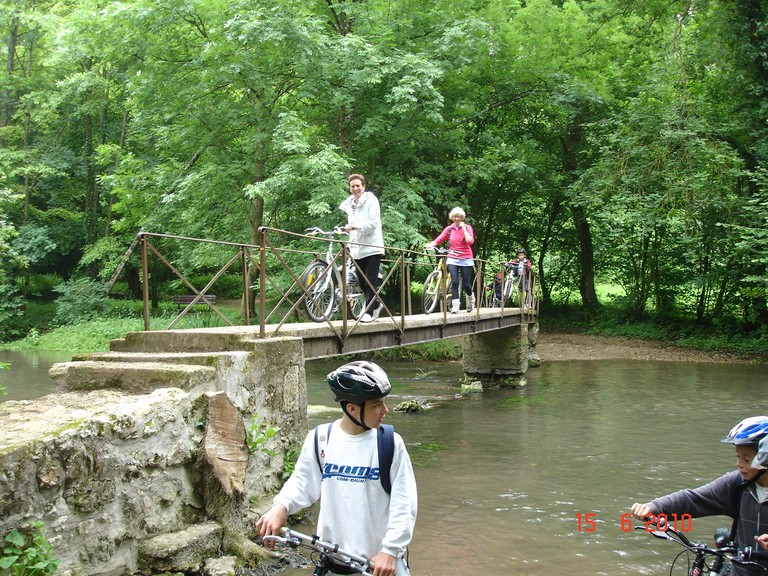DSC08217.JPG