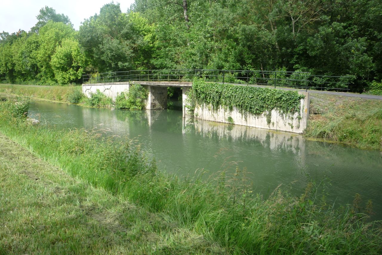 P1040015.JPG