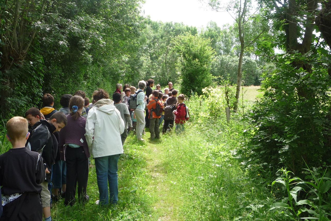 P1040025.JPG