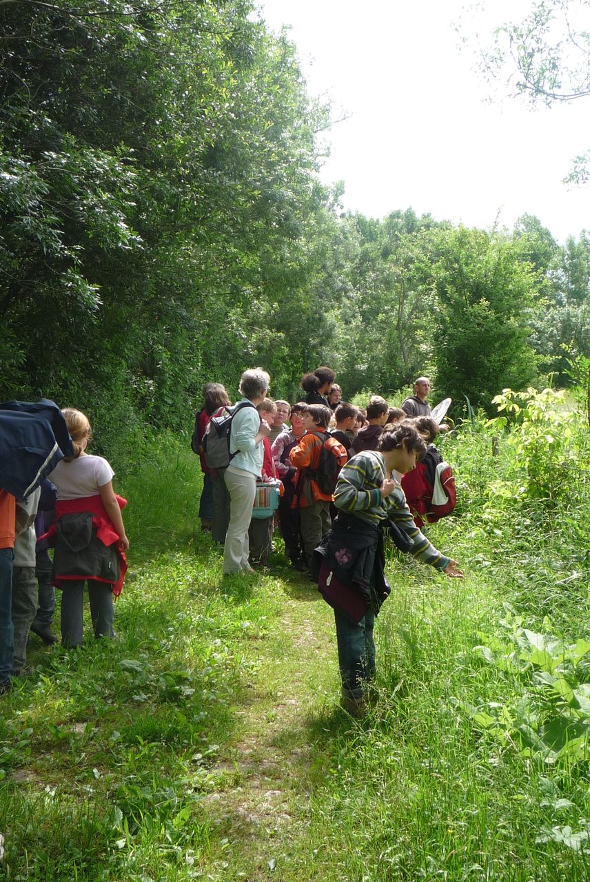 P1040026.JPG