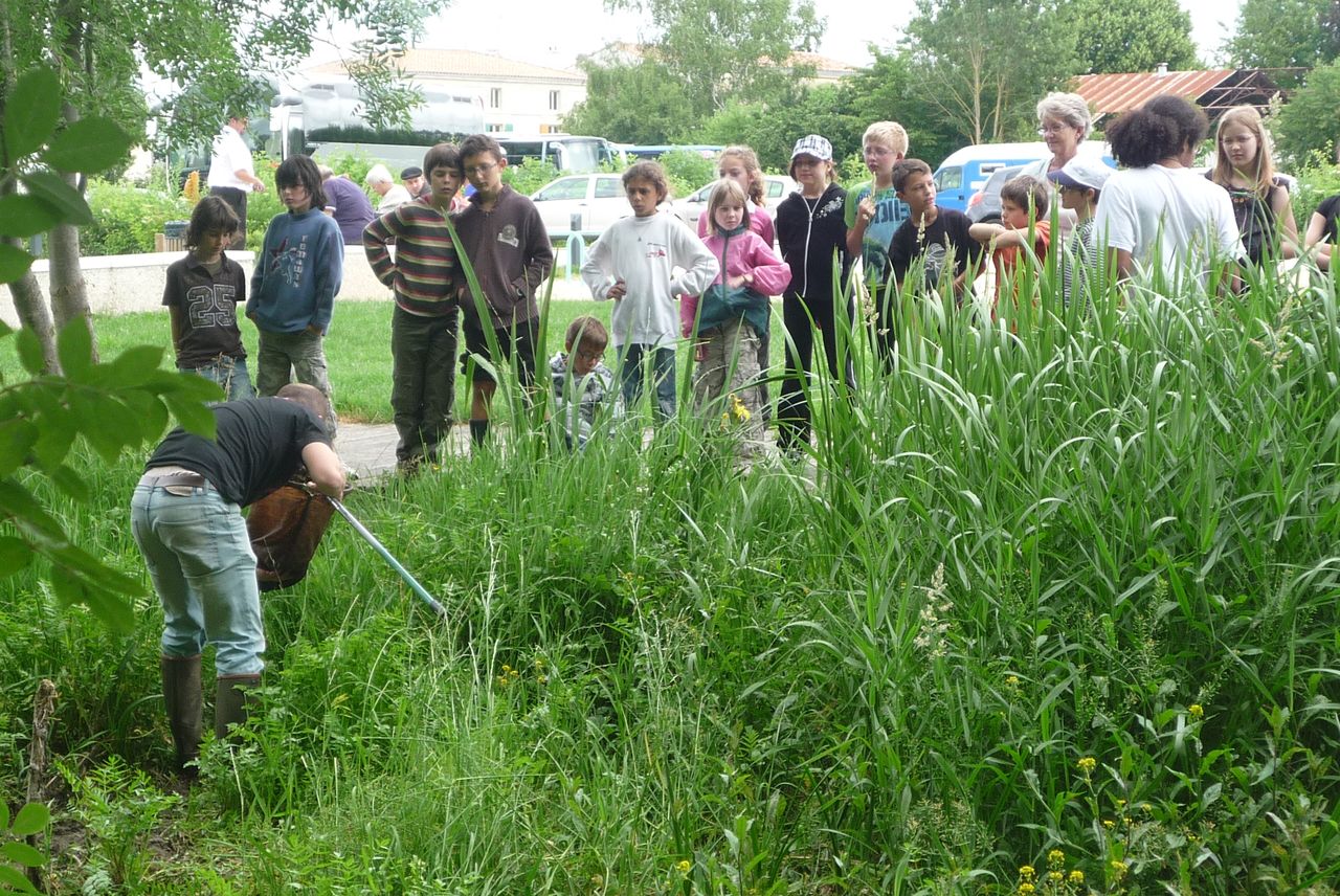 P1040055.JPG