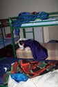 100_0584.JPG
