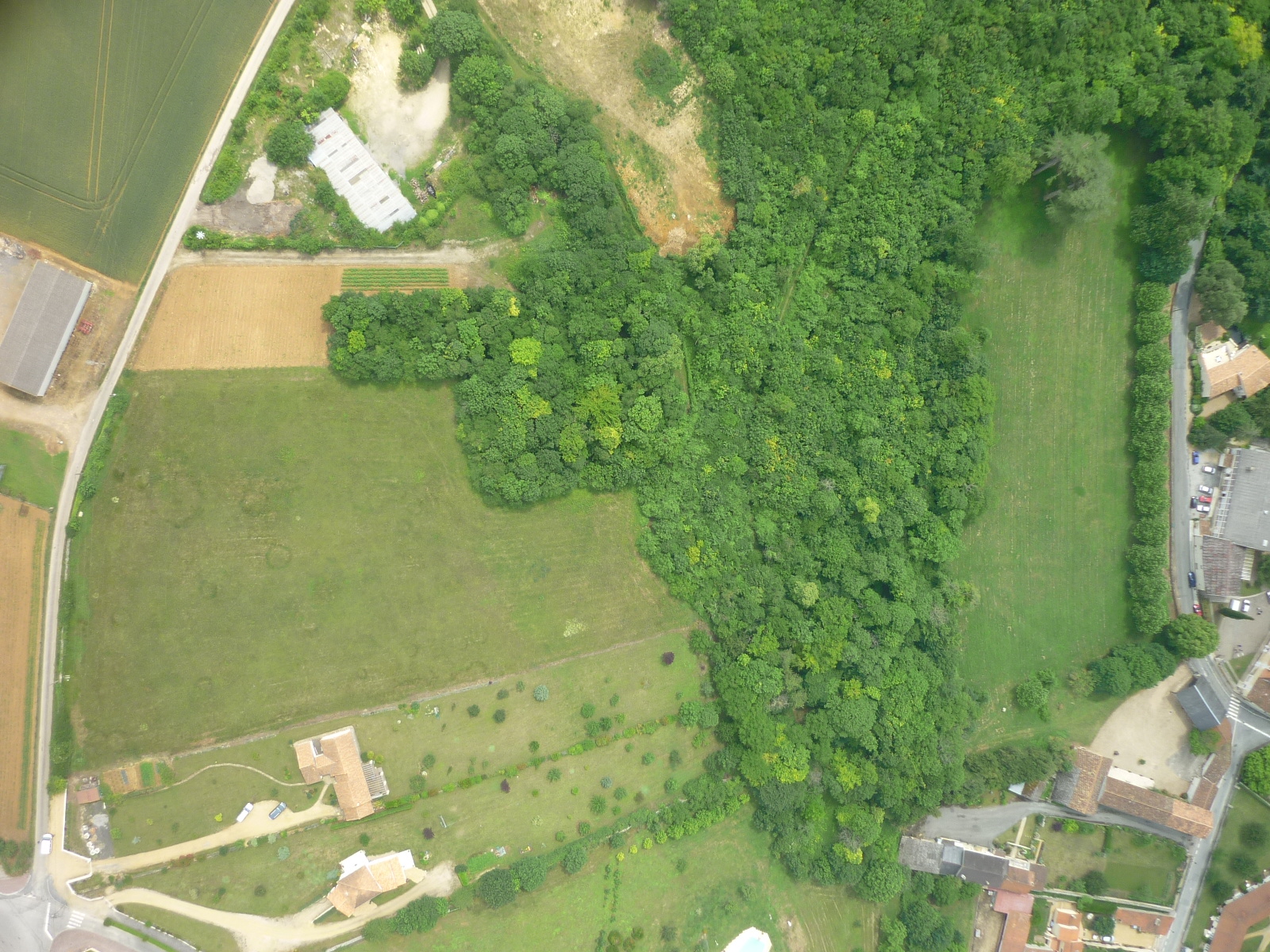 P1000557.JPG