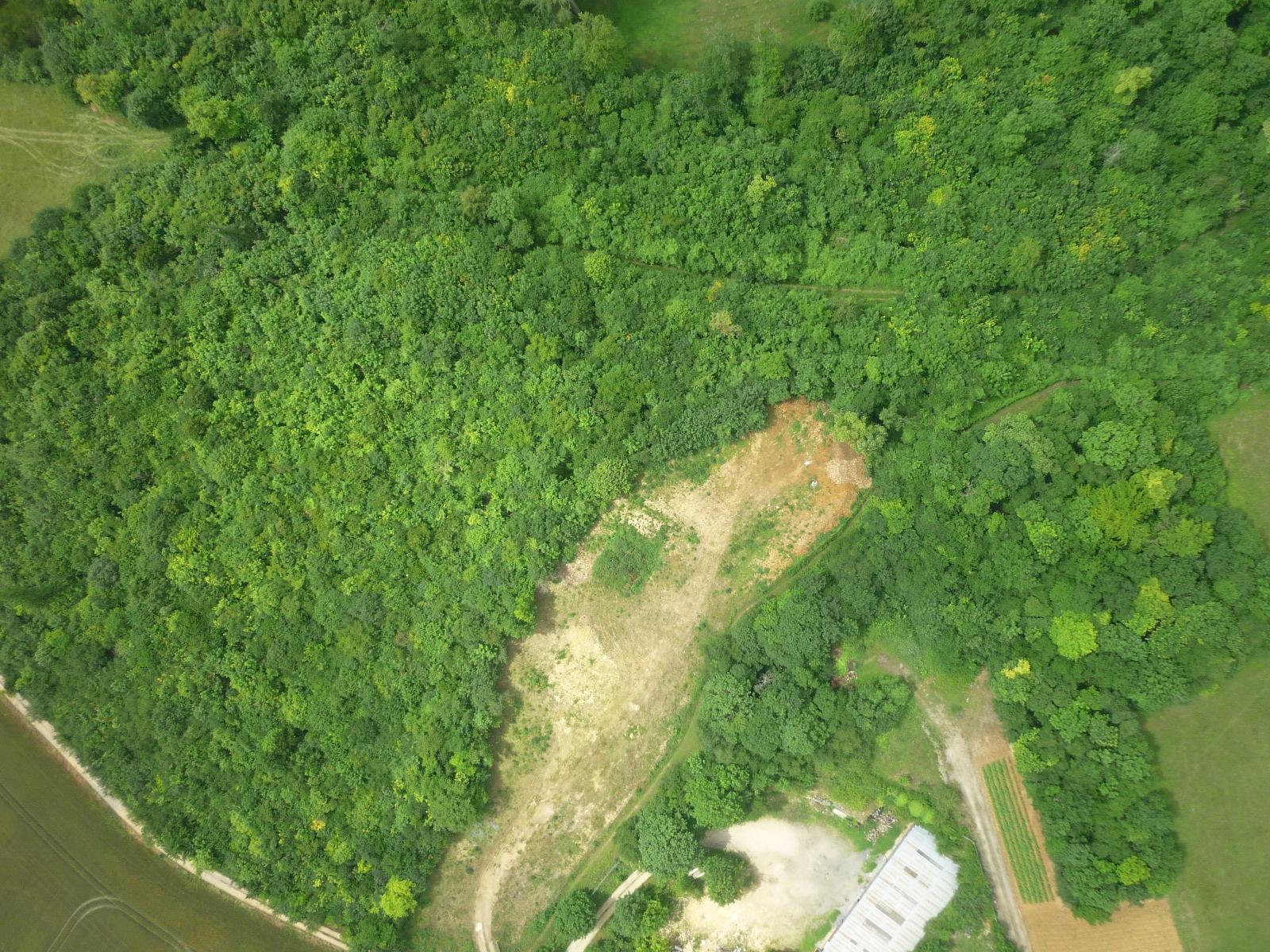 P1000562.JPG