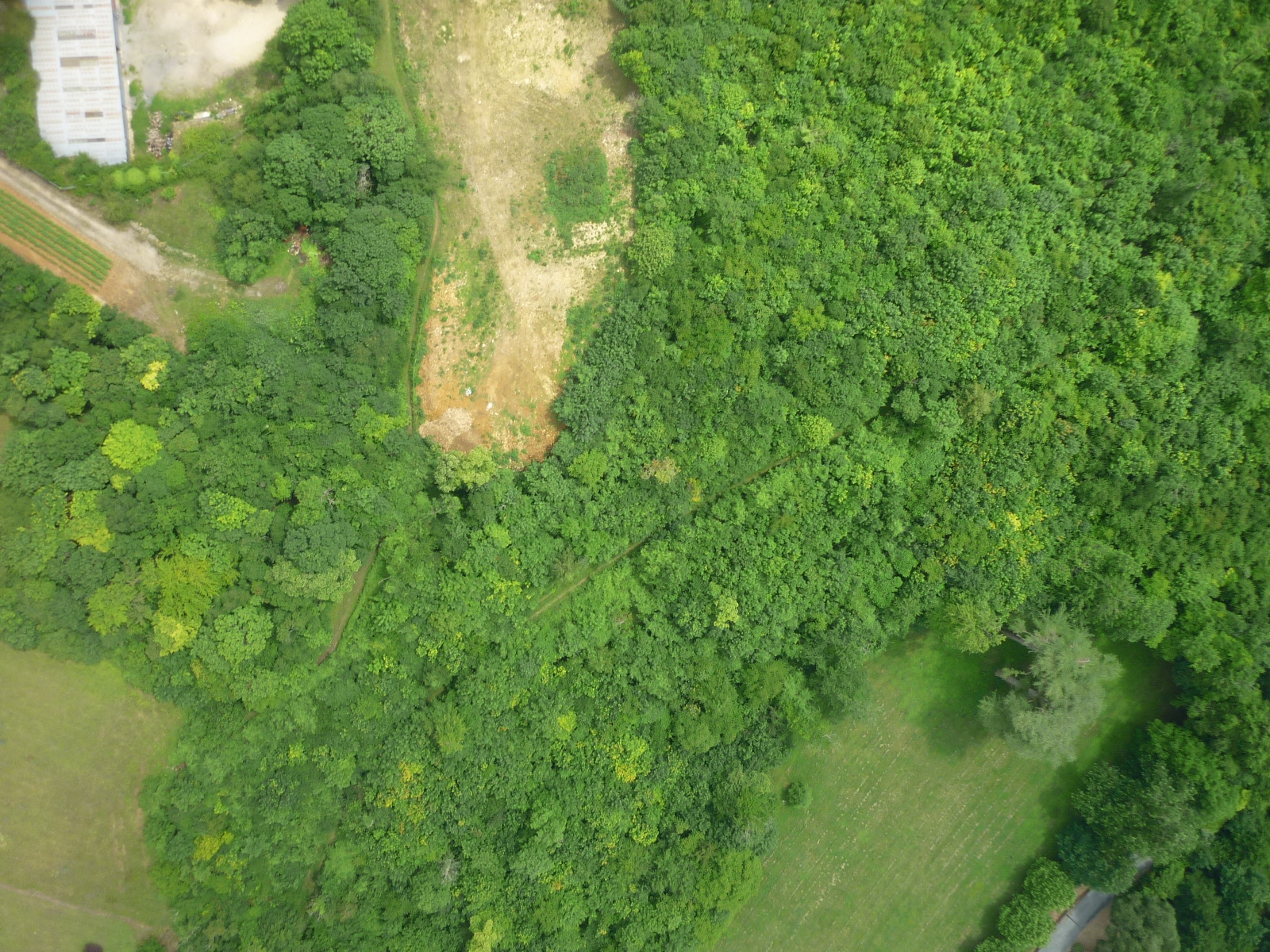 P1000564.JPG