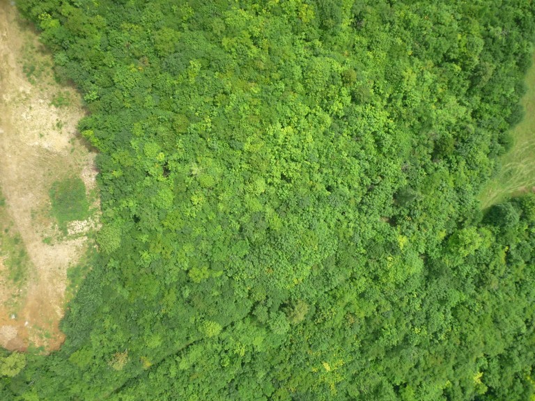 P1000569.JPG