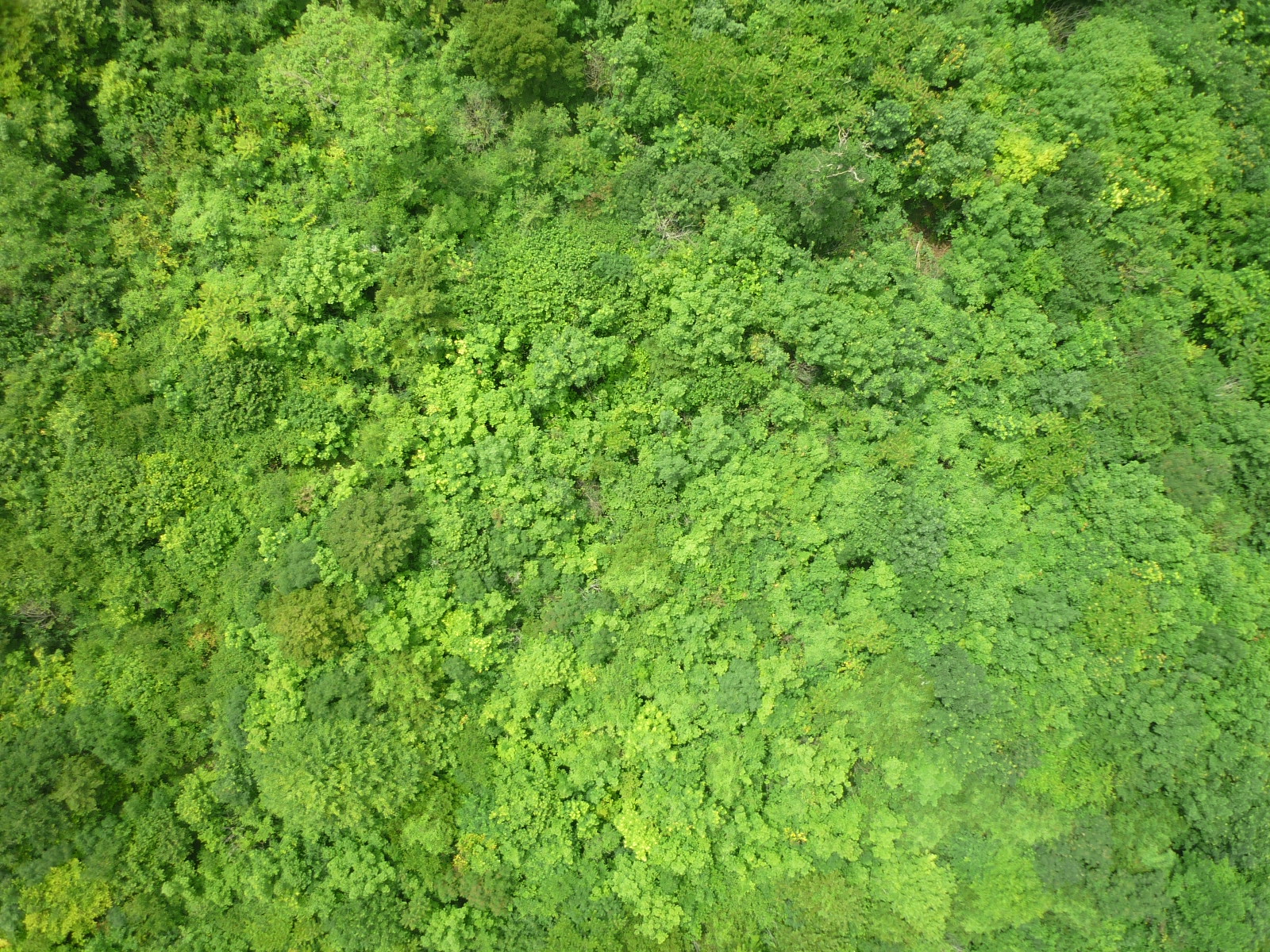 P1000574.JPG